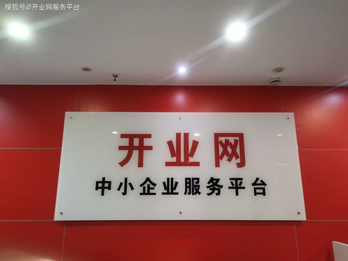上海电子税务局（上海电子税务局网站打不开）