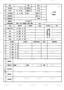 个人履历表填写模板（个人工作履历模板）