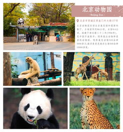 北京动物园门票价格（北京动物园门票价格有老年优惠吗）