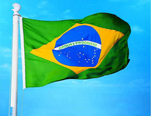 巴西国旗（巴西国旗表情）