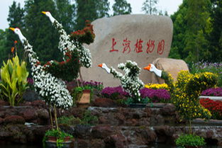 上海植物园门票价格多少